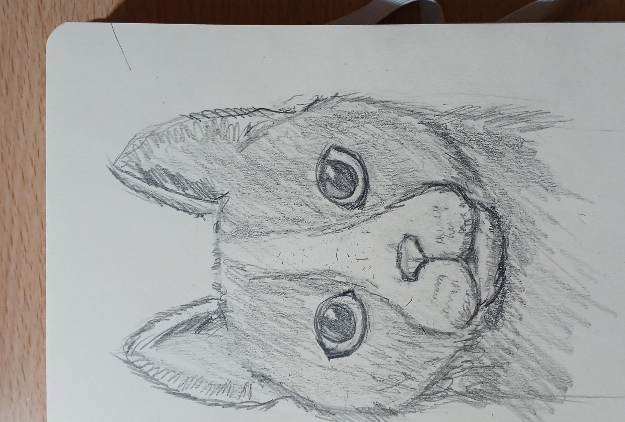 My cat drawing, loosly after my own - student project
