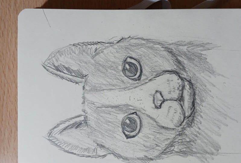 My cat drawing, loosly after my own