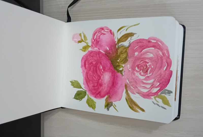 Peony Roses