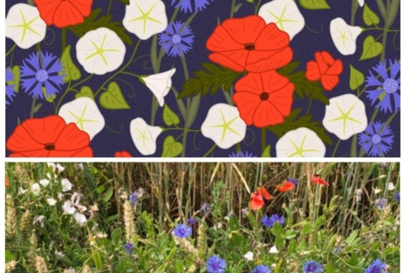 Bold Summer Wildflower