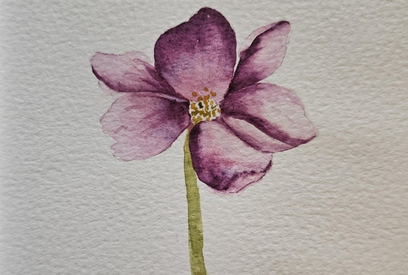 W/c petals