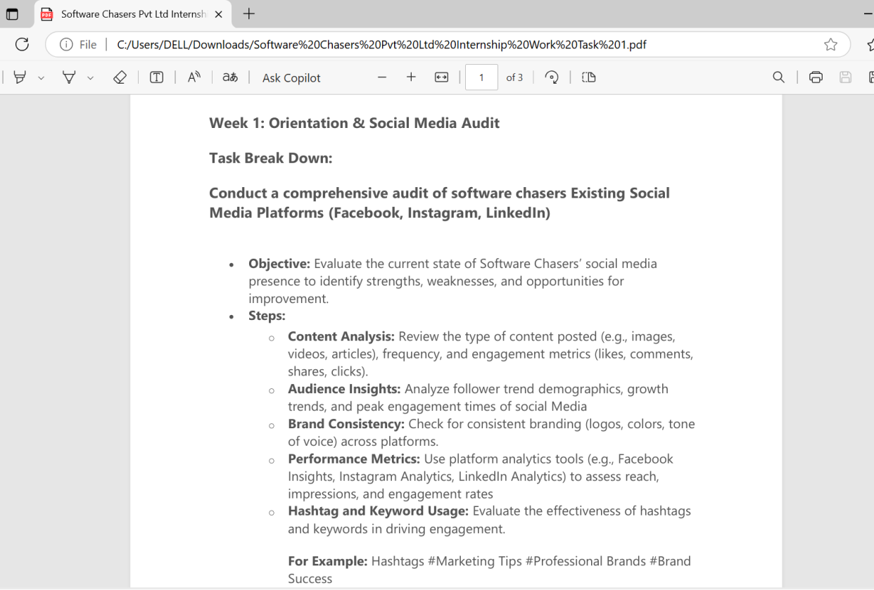 Social Media Audit Report - student project