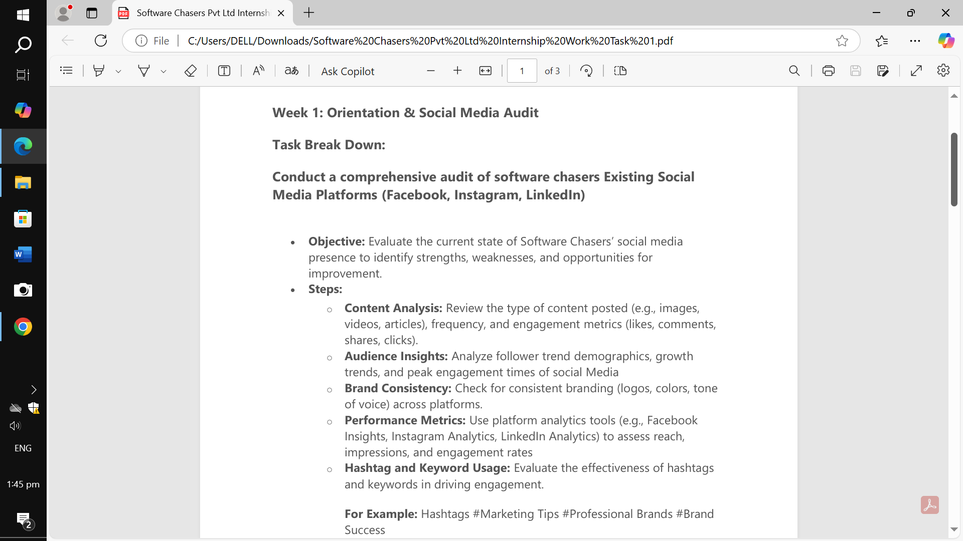Social Media Audit Report - student project