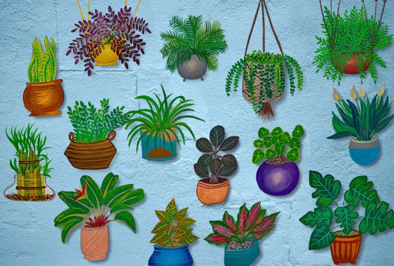 Gouache Painting: Indoor Plants