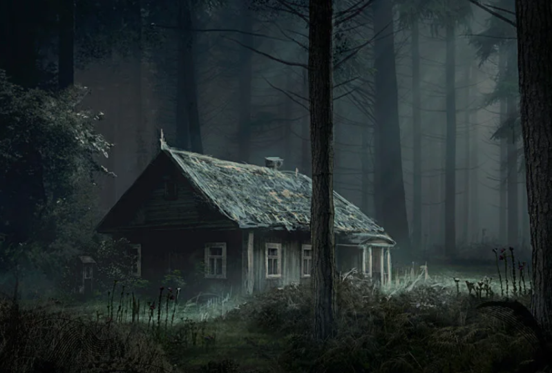 A Wooden Cabin in the Forsaken Woods