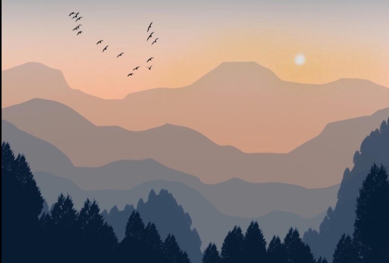 This is a great short intro class for those new to Procreate!