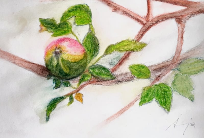 Apple - Author: Sonja Dovlev Bugarski