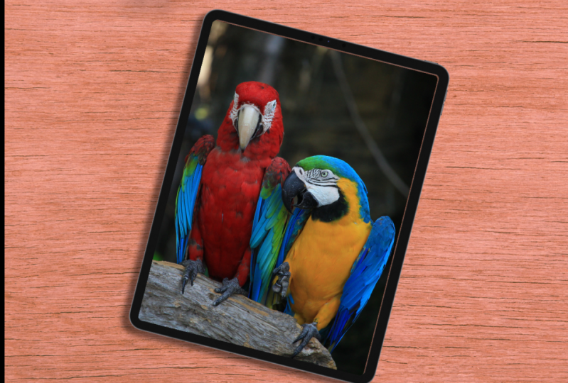 IPAD FRAME PROJECT