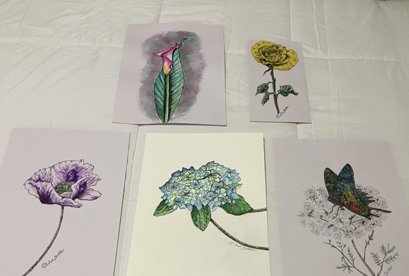 From Hobbyist to Professional Artist: Paint a Fine Arts Collection
