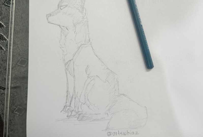 A Fox