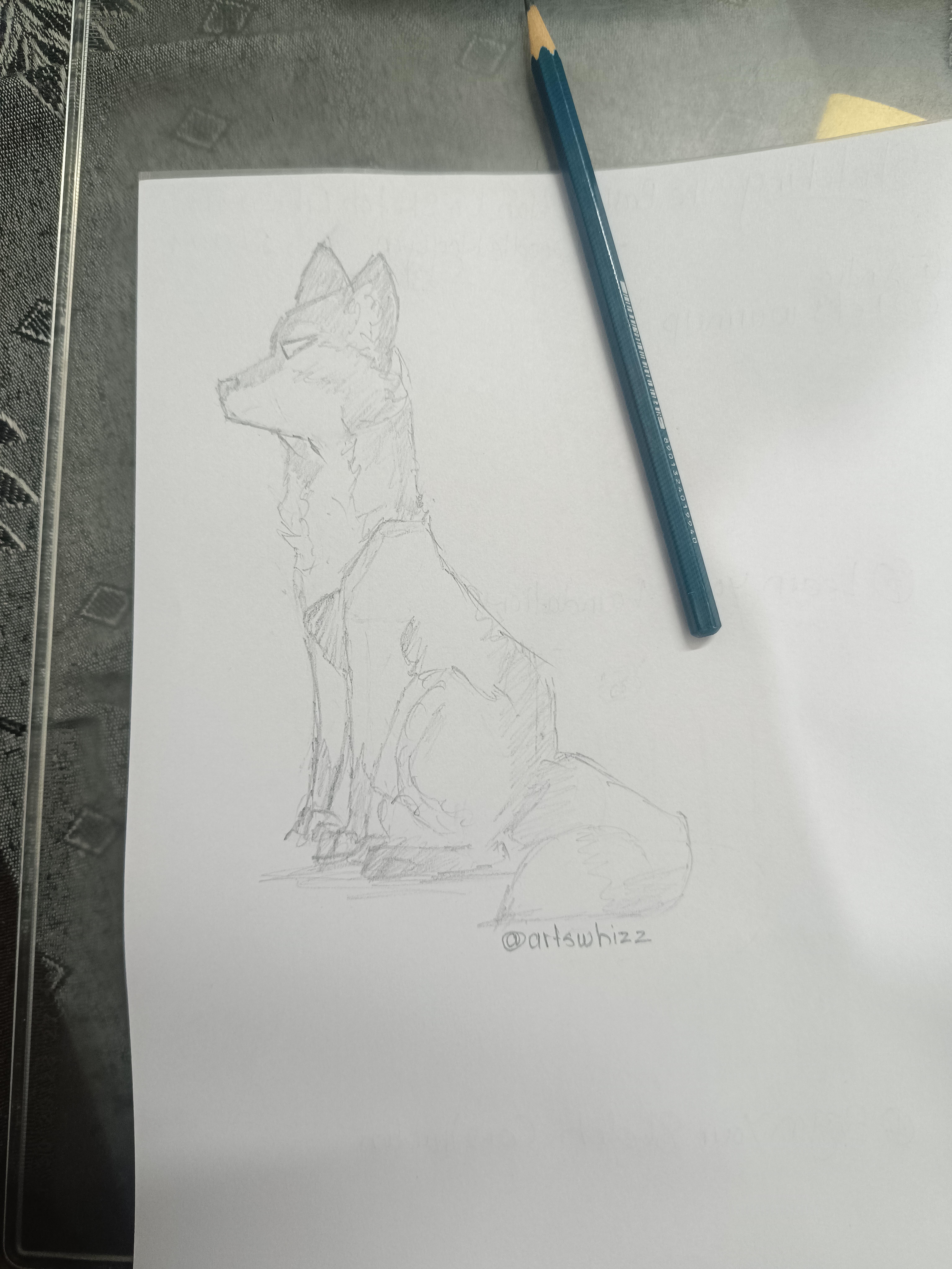 A Fox - student project