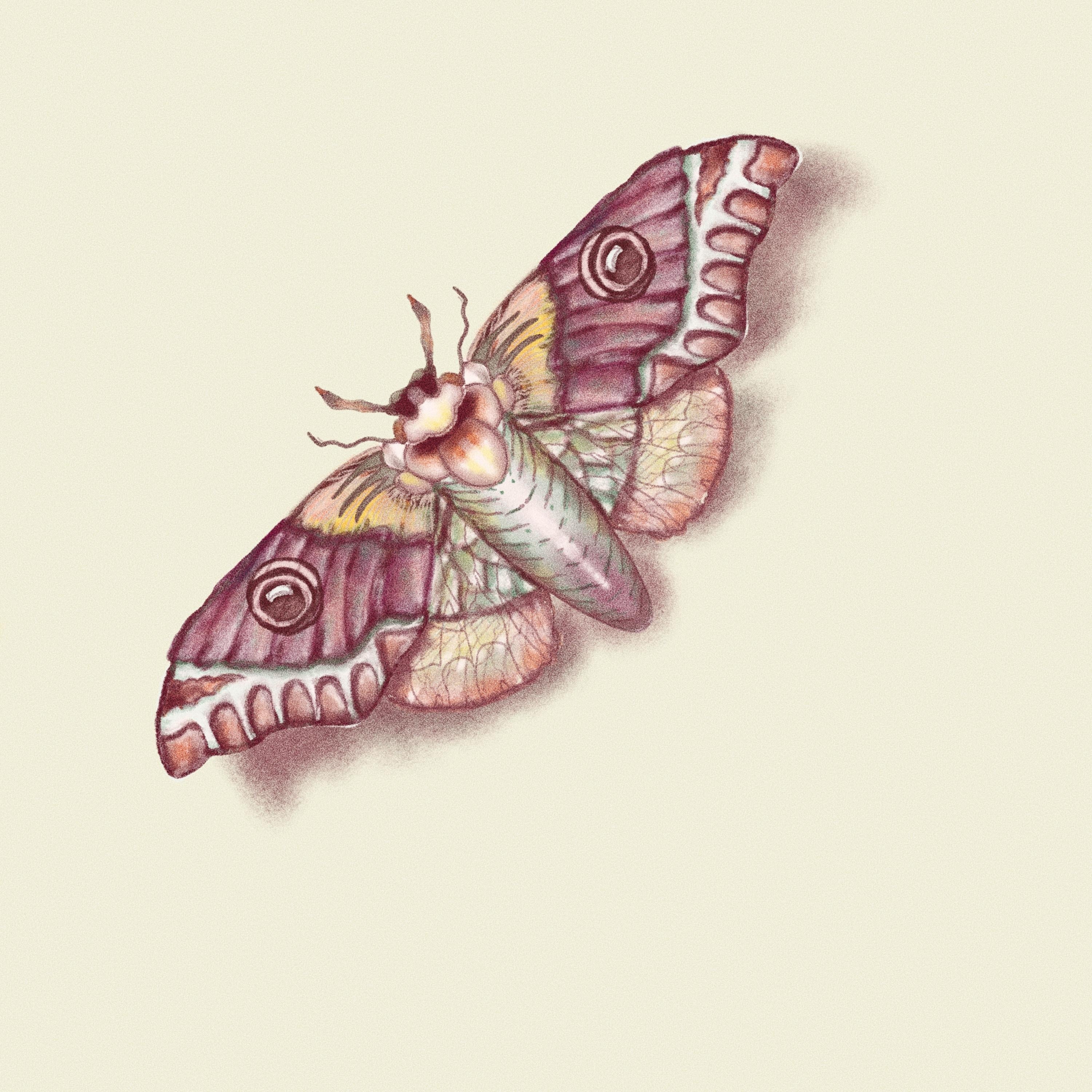 more-projects-from-class-img