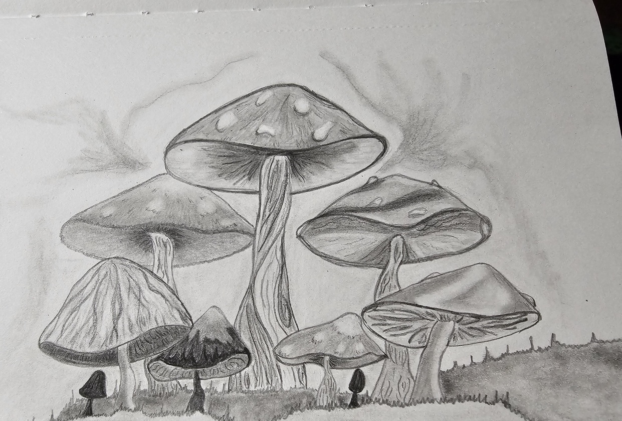 Mushroom land - student project