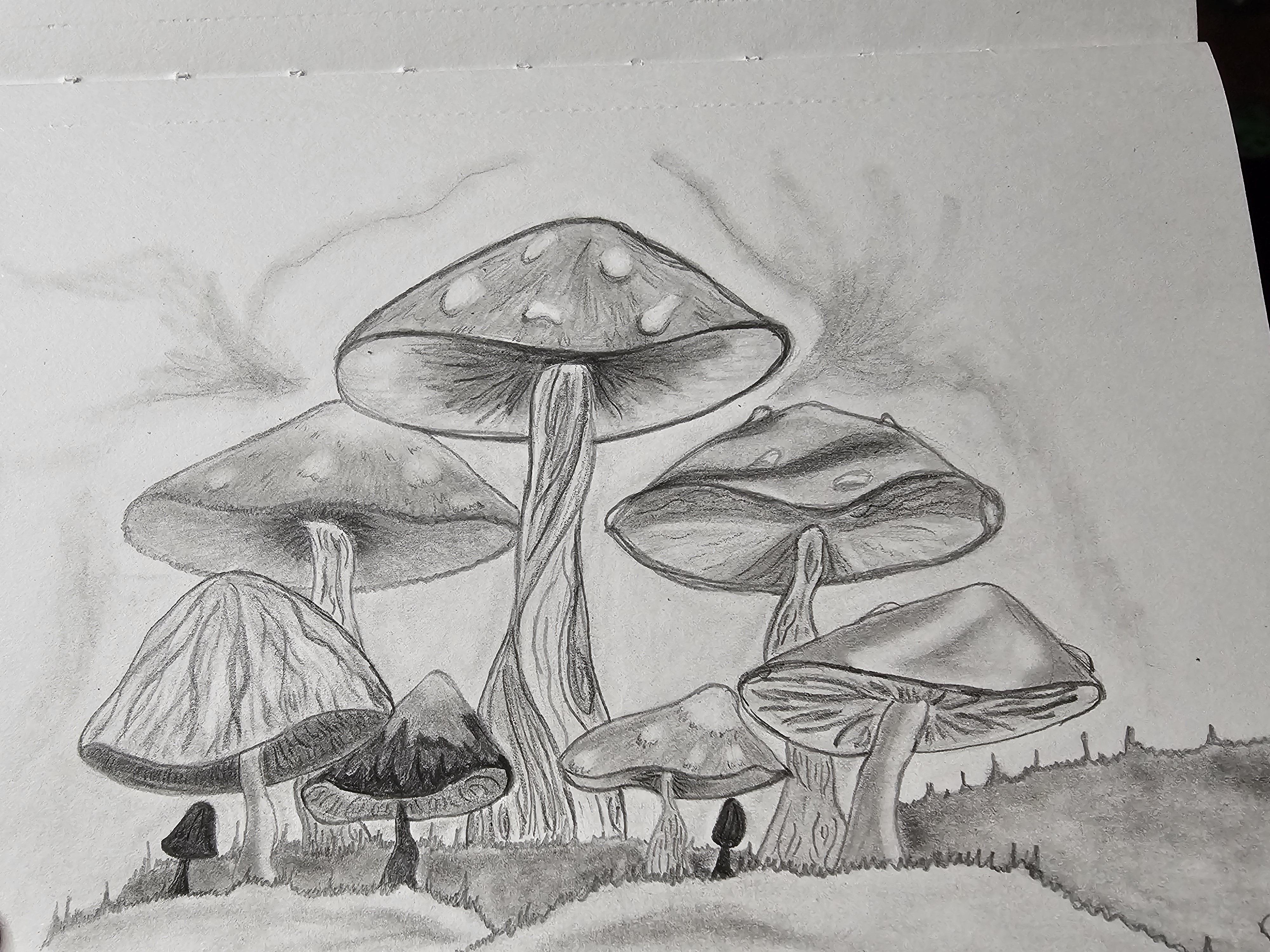 more-projects-from-class-img