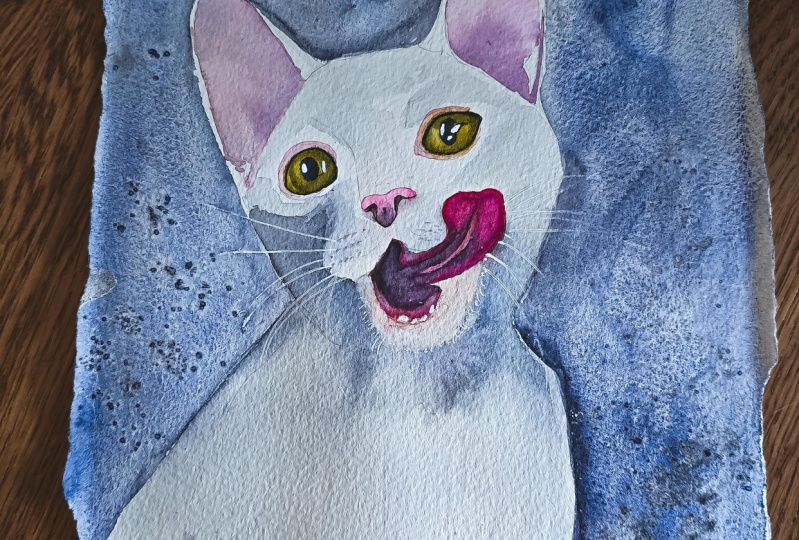 Cat licking