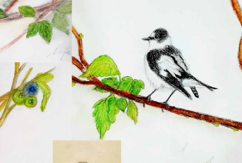 Nature - Author: Sonja Dovlev Bugarski