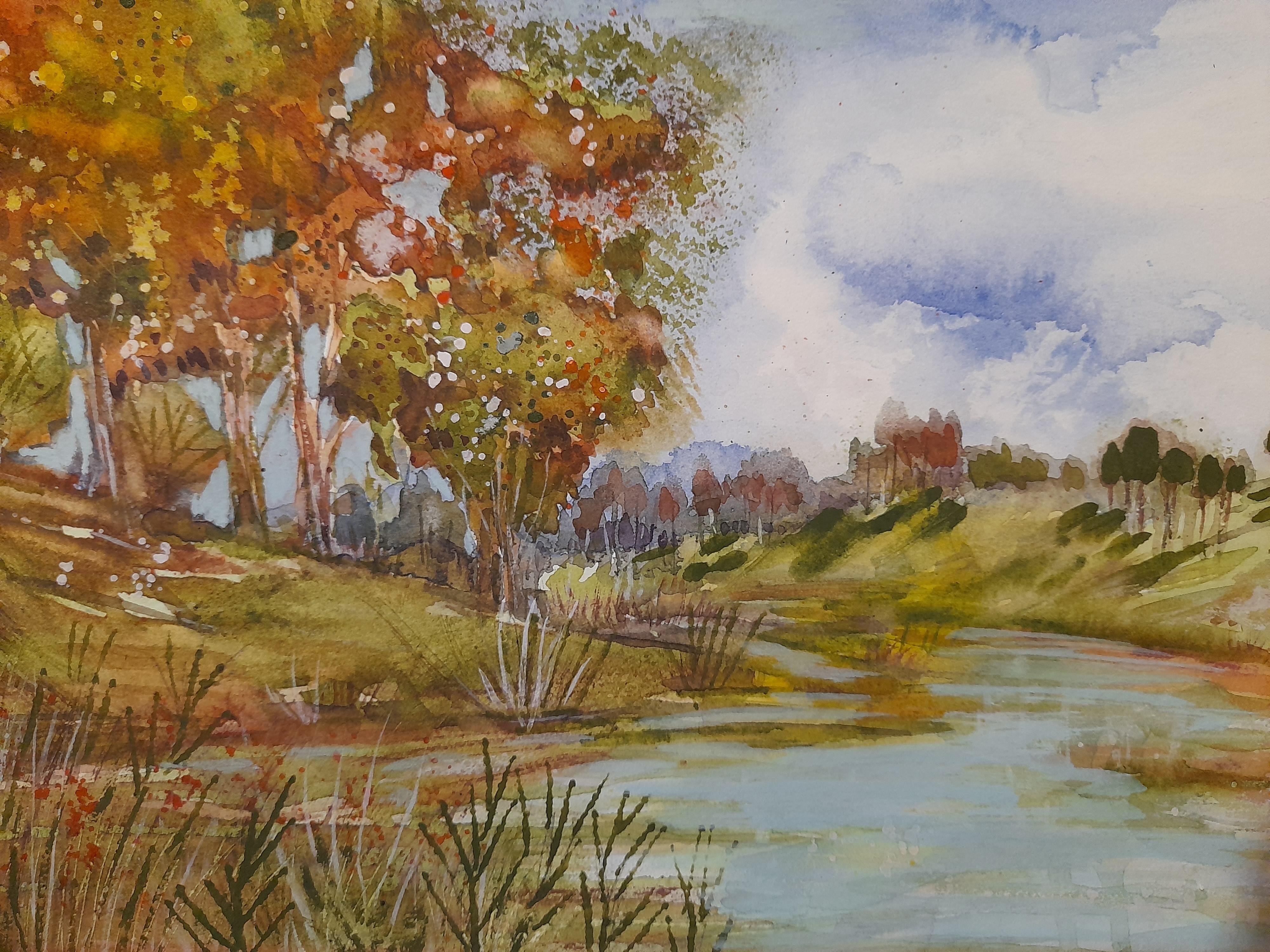 landscape - student project