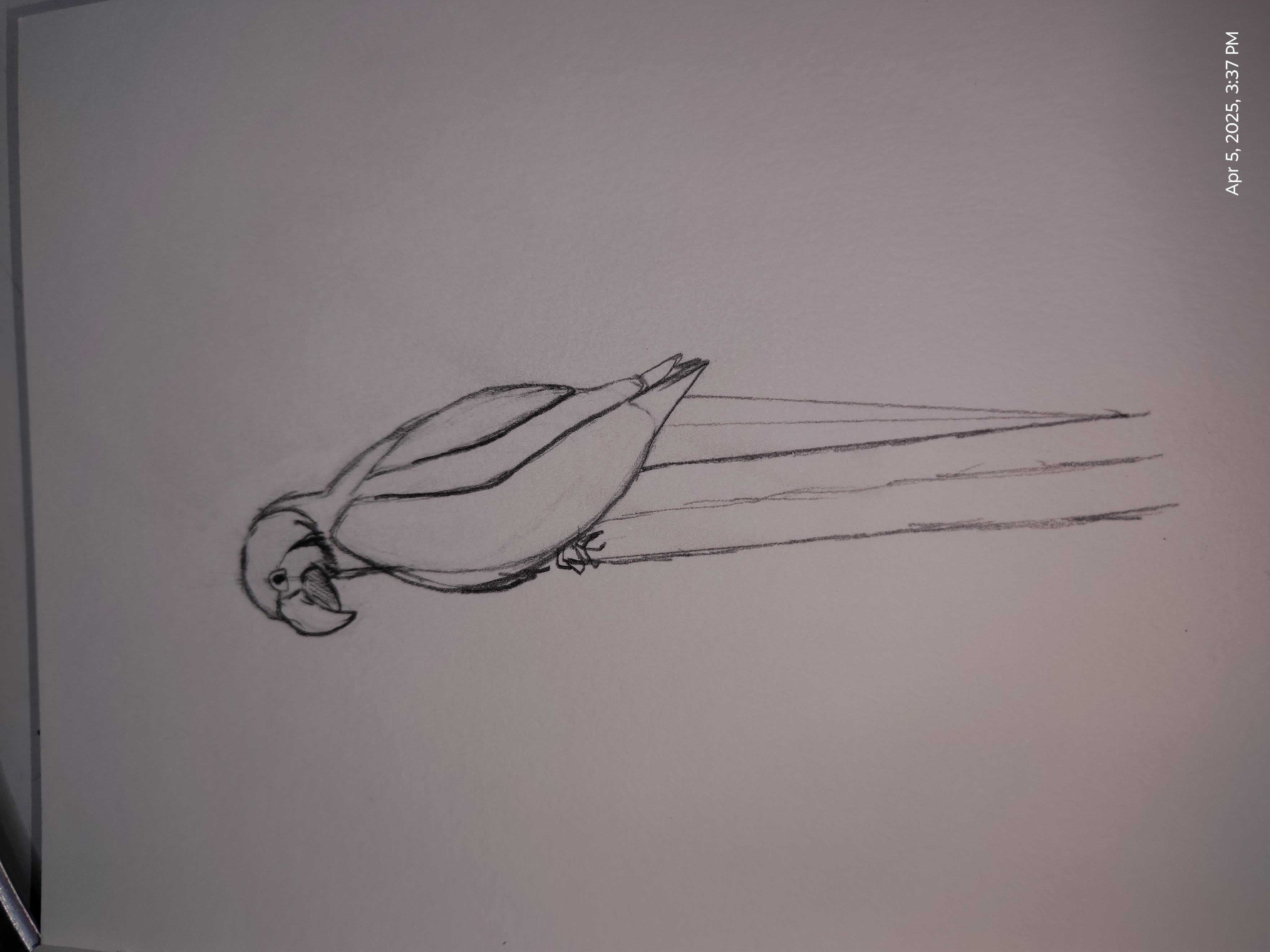 more-projects-from-class-img