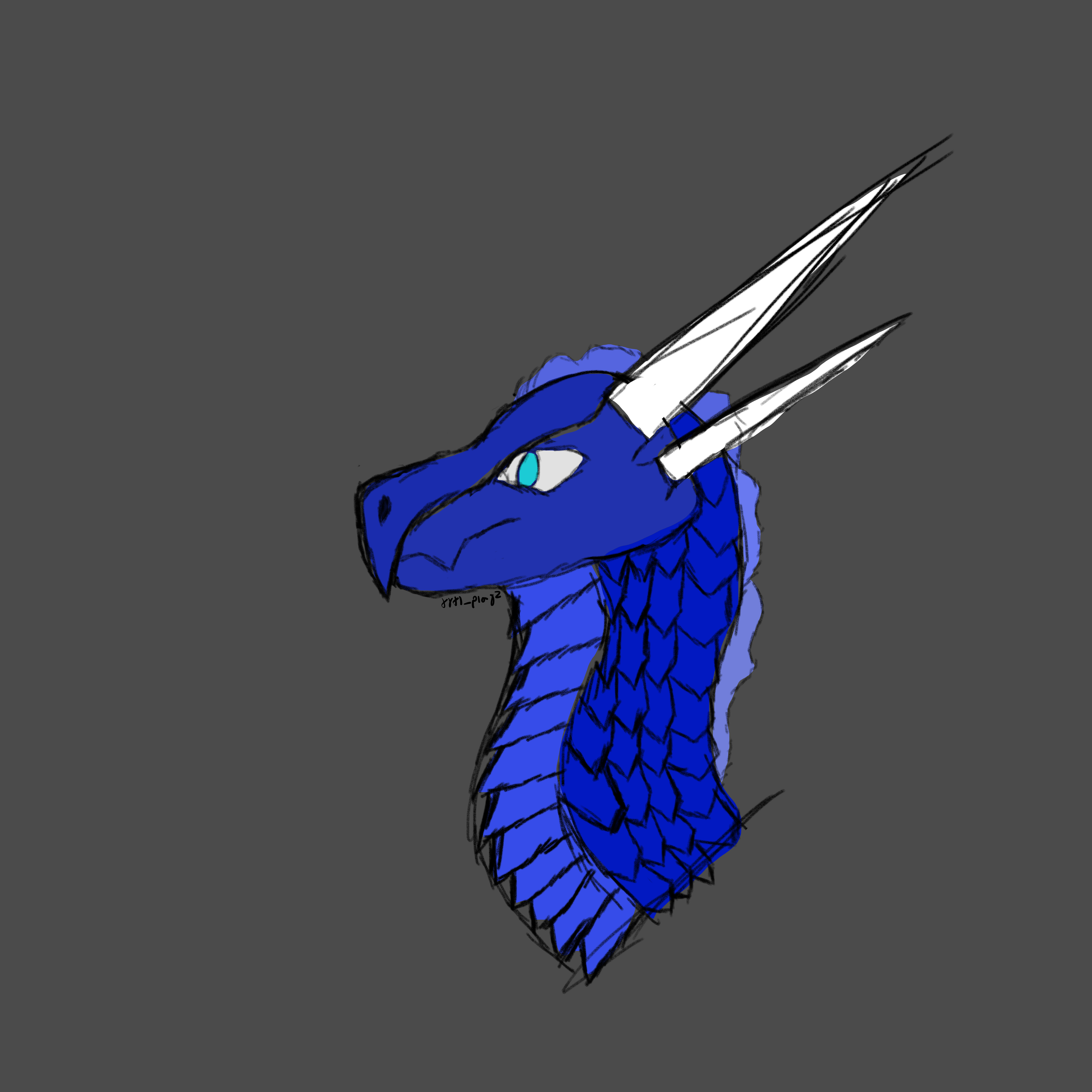 more-projects-from-class-img
