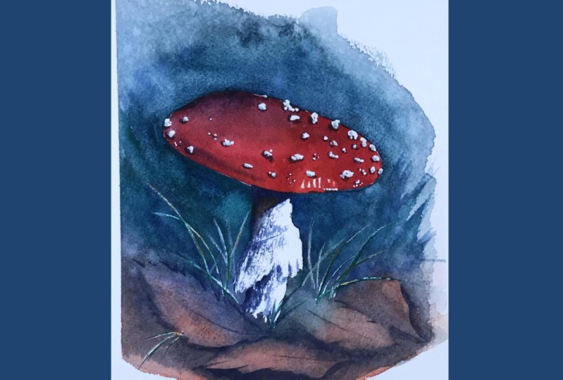 Vibrant Mushroom