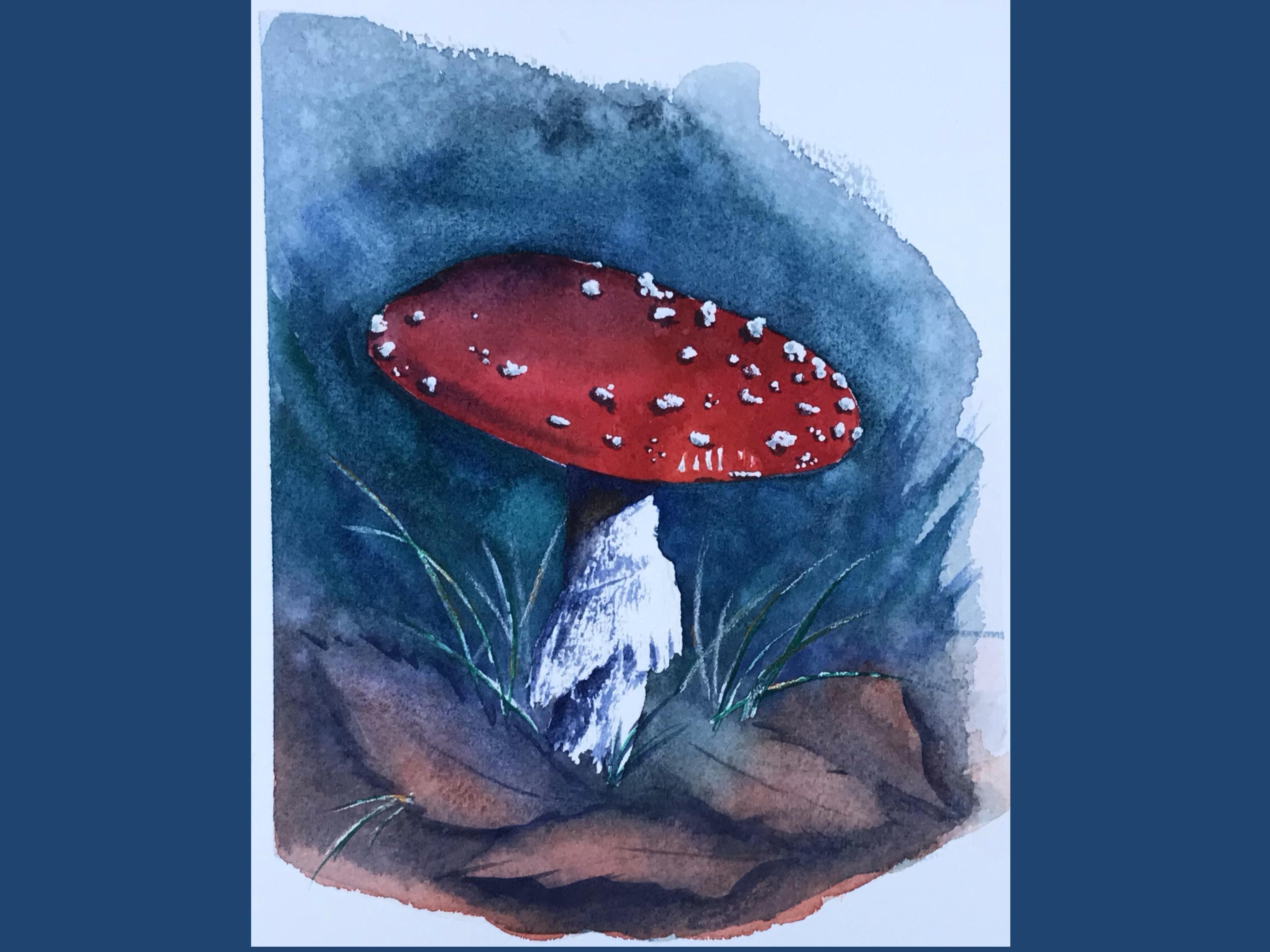 Vibrant Mushroom - student project