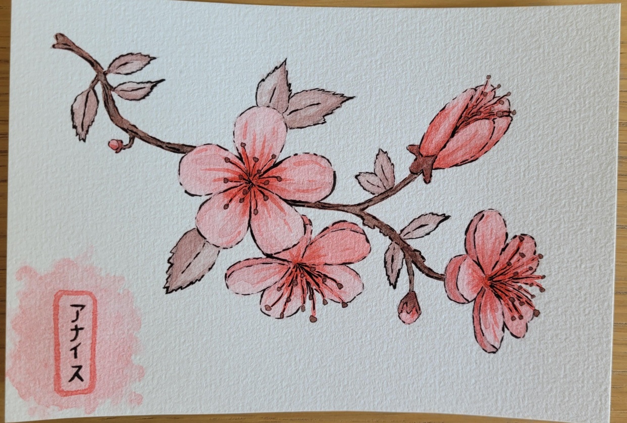 Cherry blossoms - student project