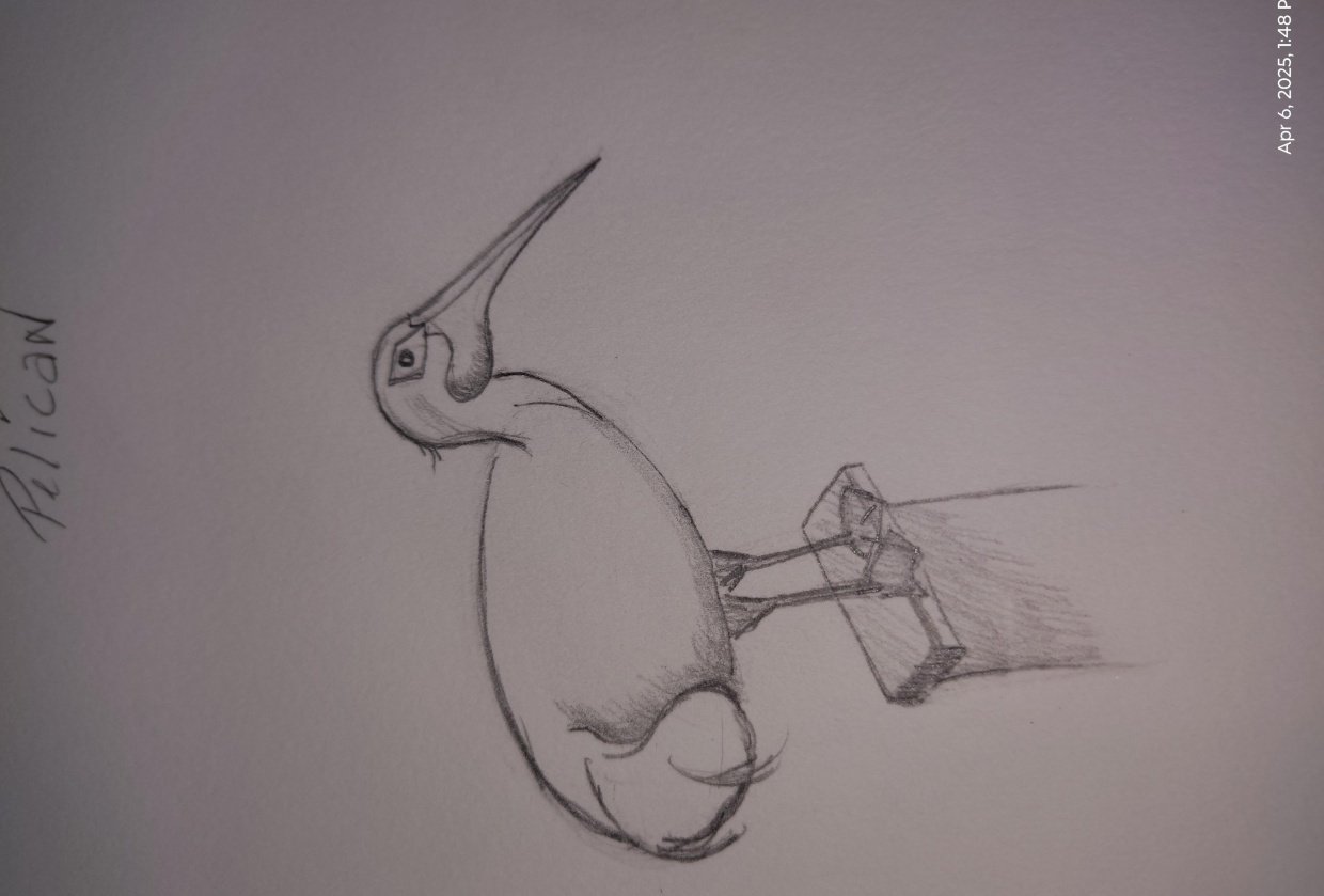 pelican - student project