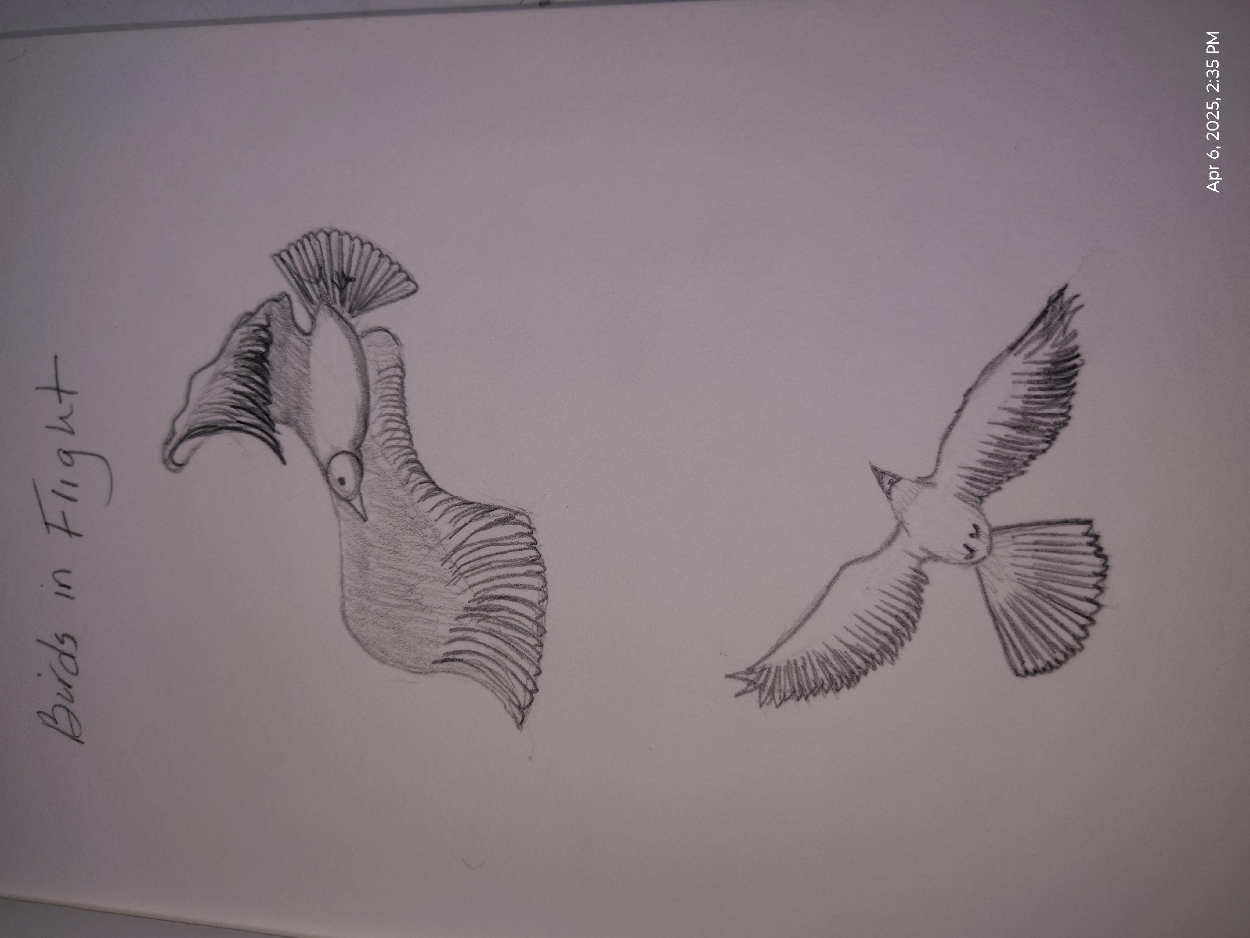 more-projects-from-class-img
