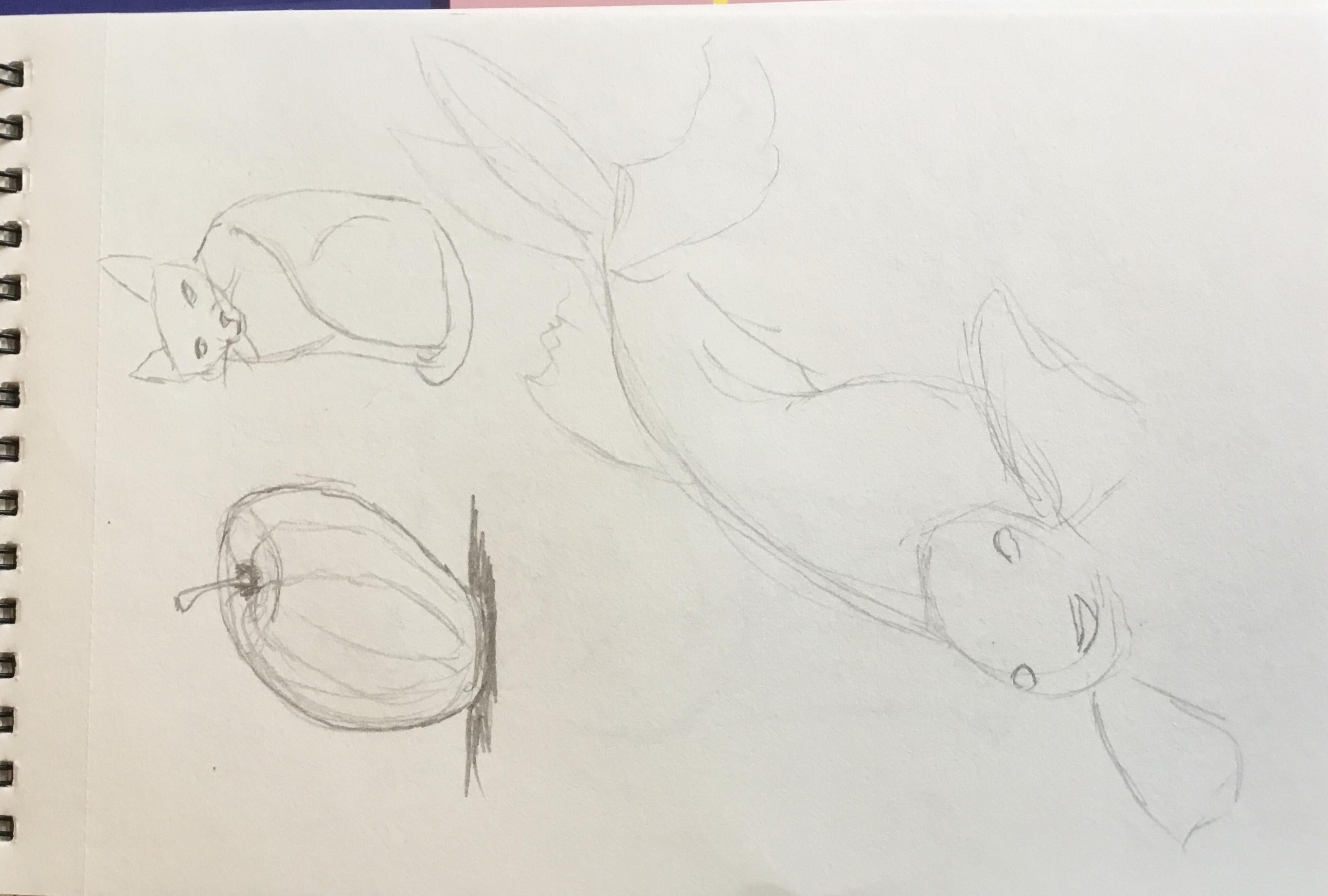 more-projects-from-class-img