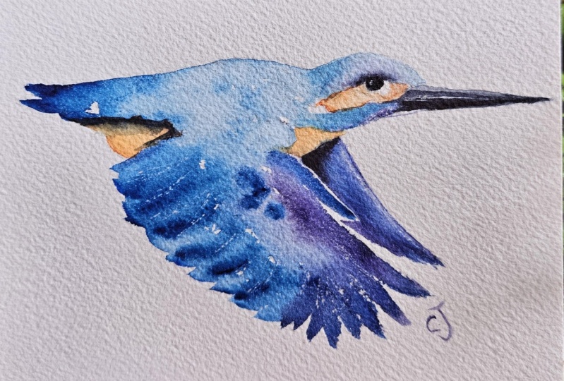 Flying kingfisher