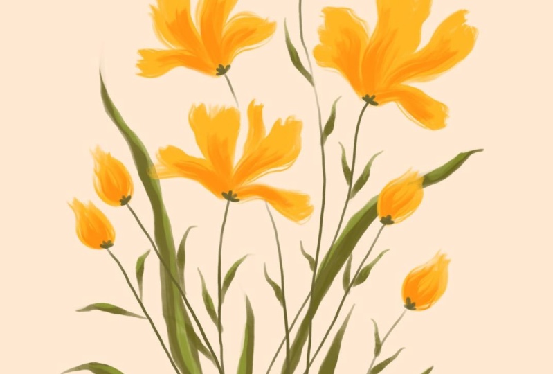 Wildflowers in yellow