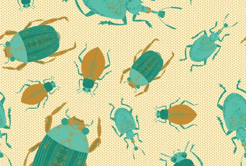 Bugs