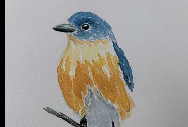 Loose and Expressive Birds