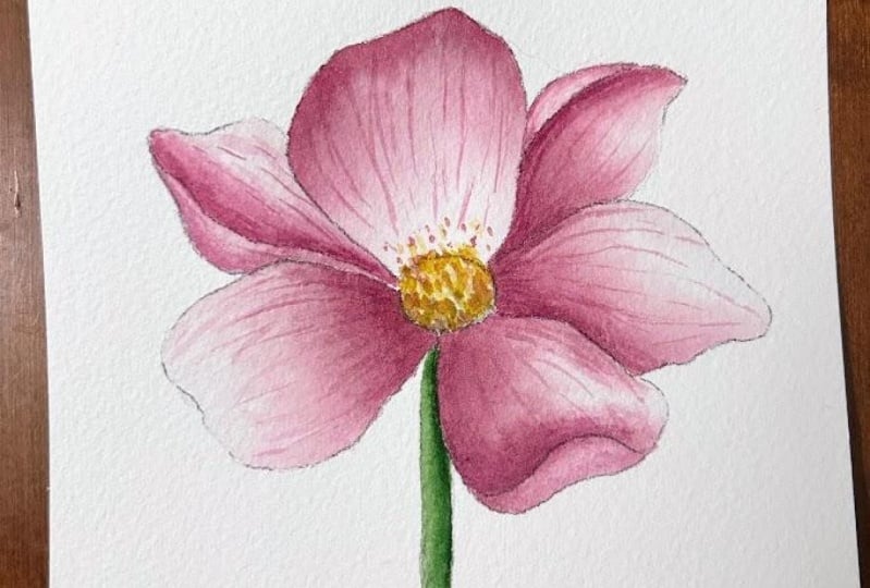 Practicing Petals #TopWatercolorStudent2025
