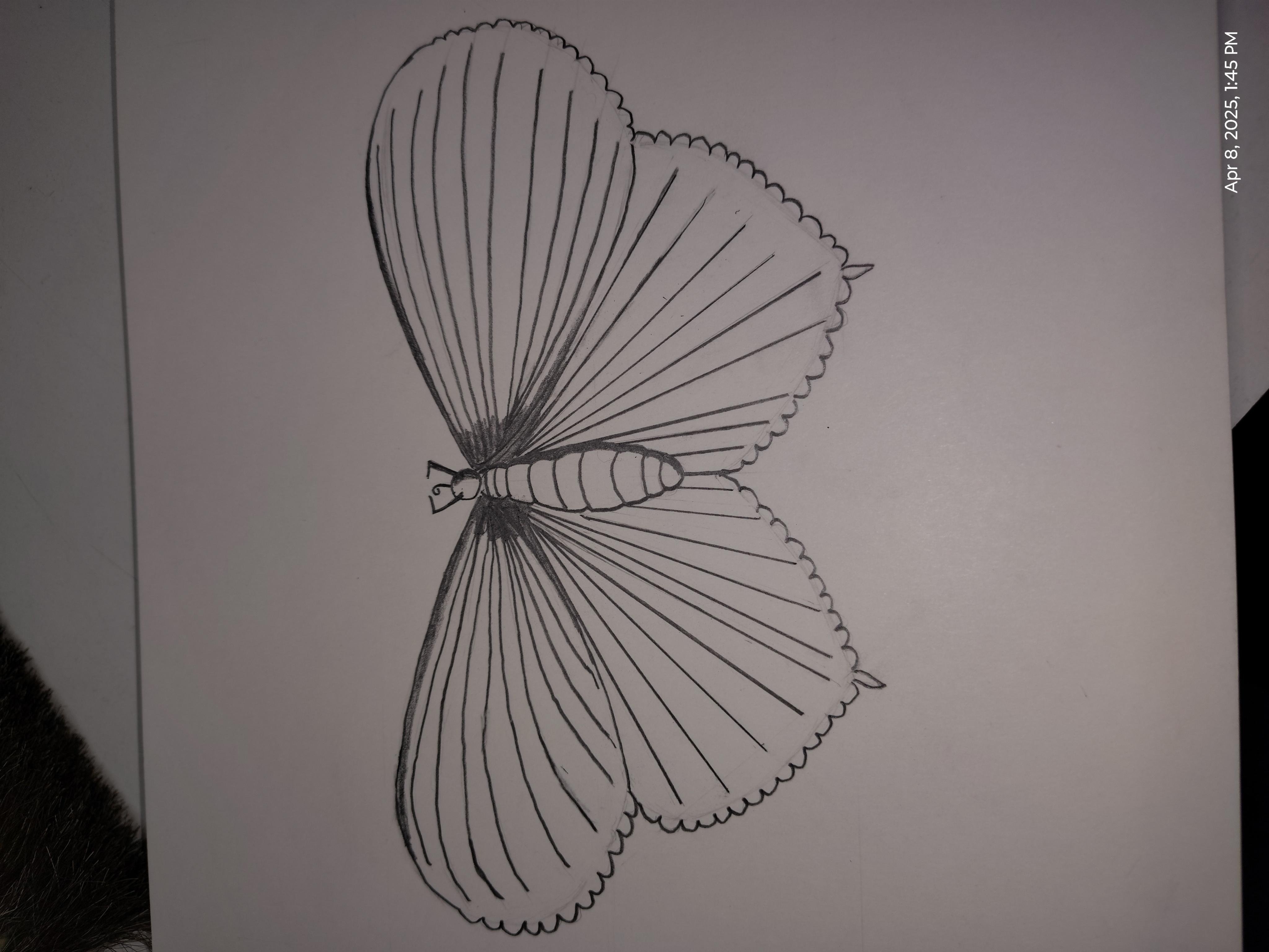 more-projects-from-class-img