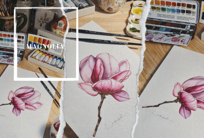 Nouveau tutoriel d'aquarelle | New watercolor tutorial : Magnolia