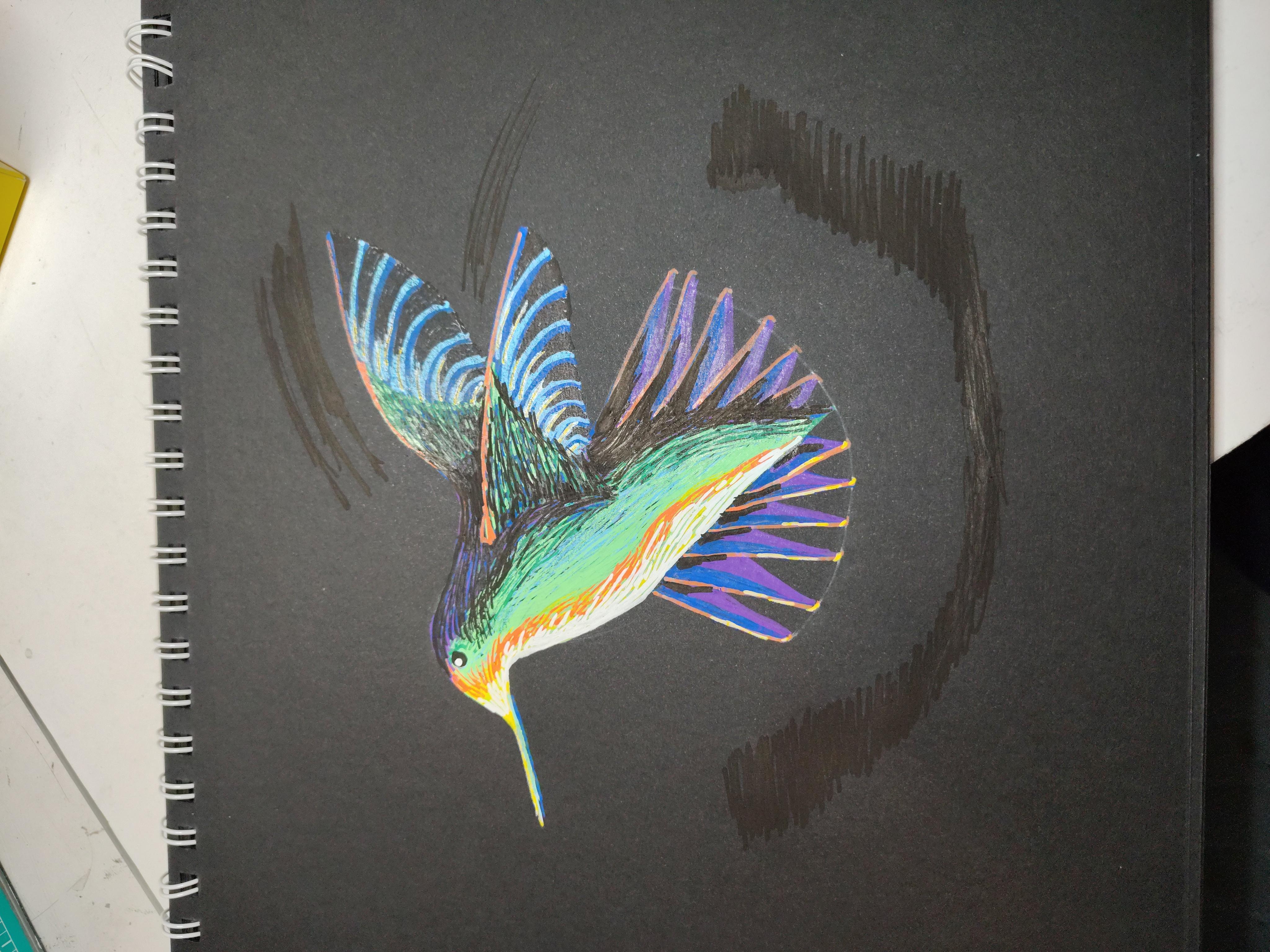 hummingbird - student project