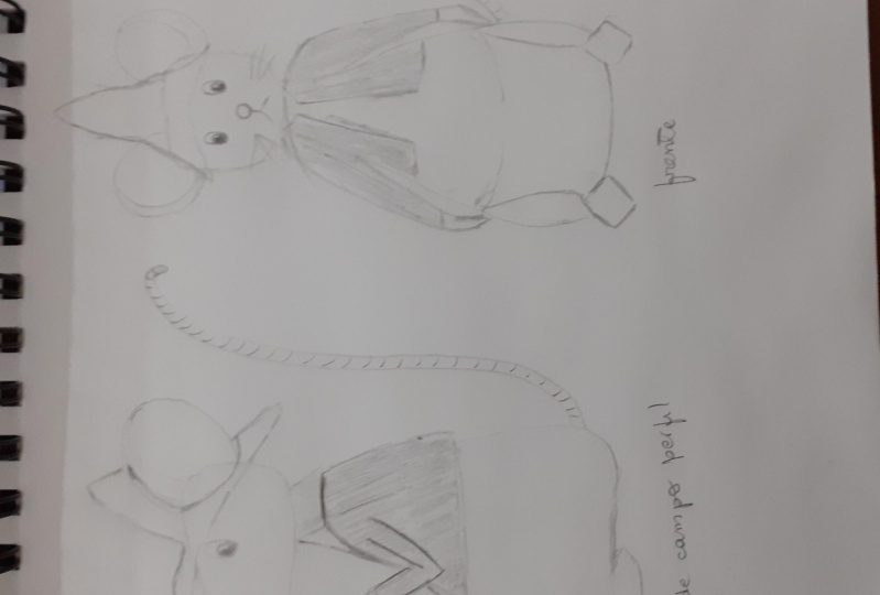 Character map for Country Mouse