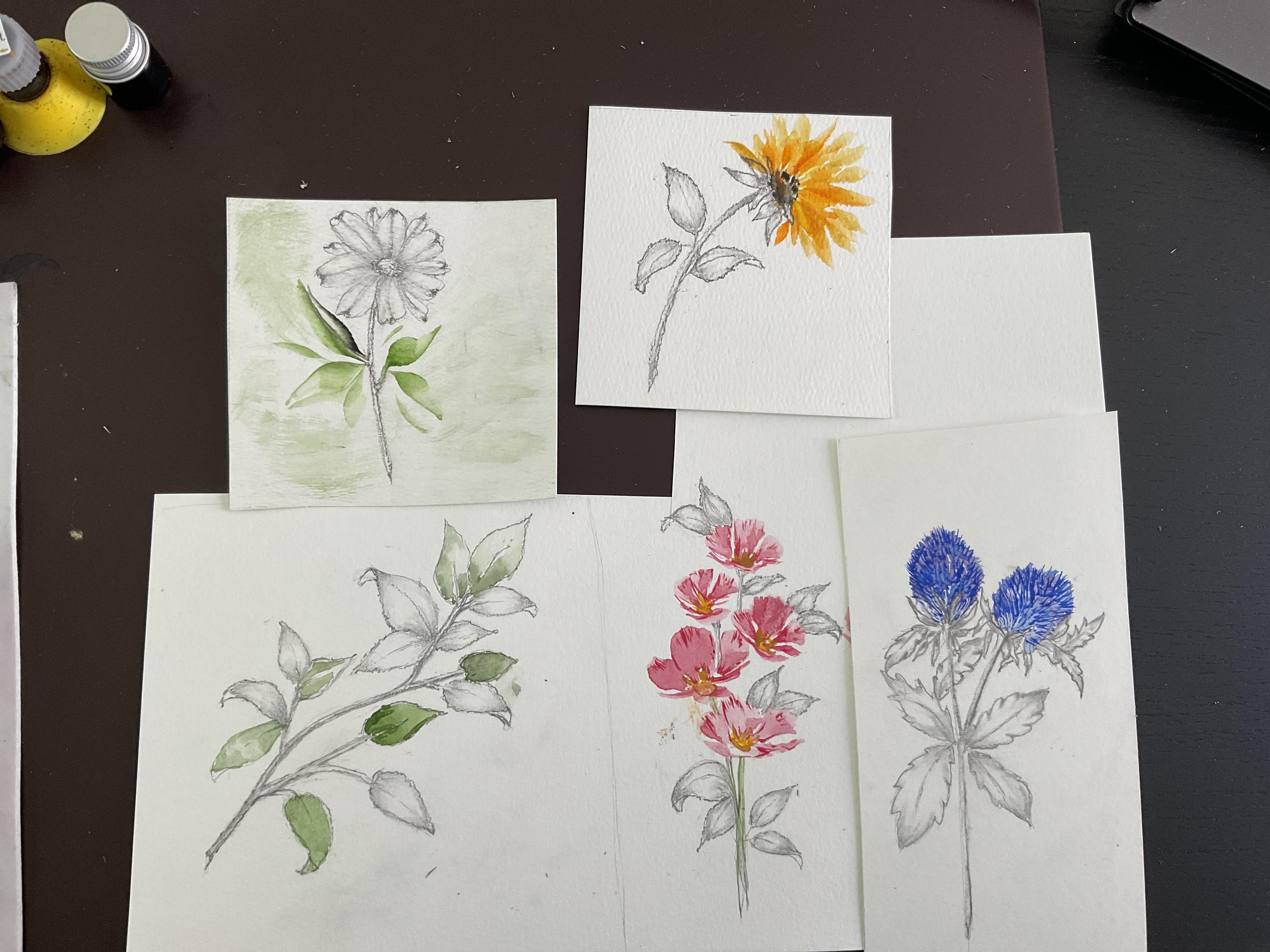 more-projects-from-class-img