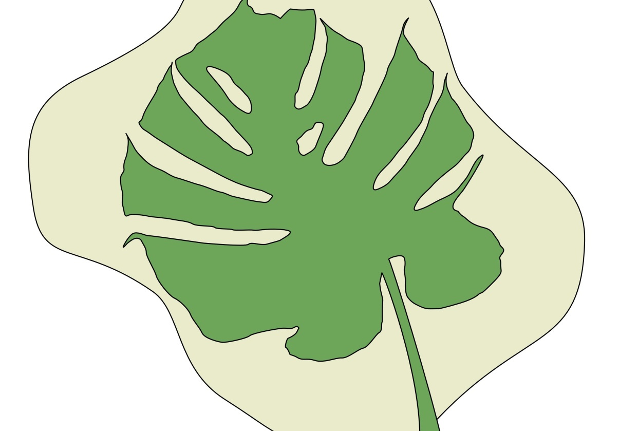 Monstera Plant - student project