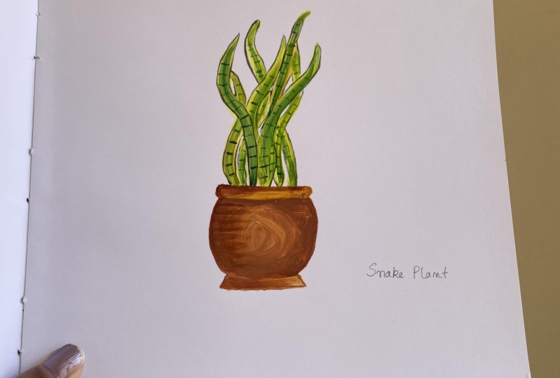 Painting indoor plants