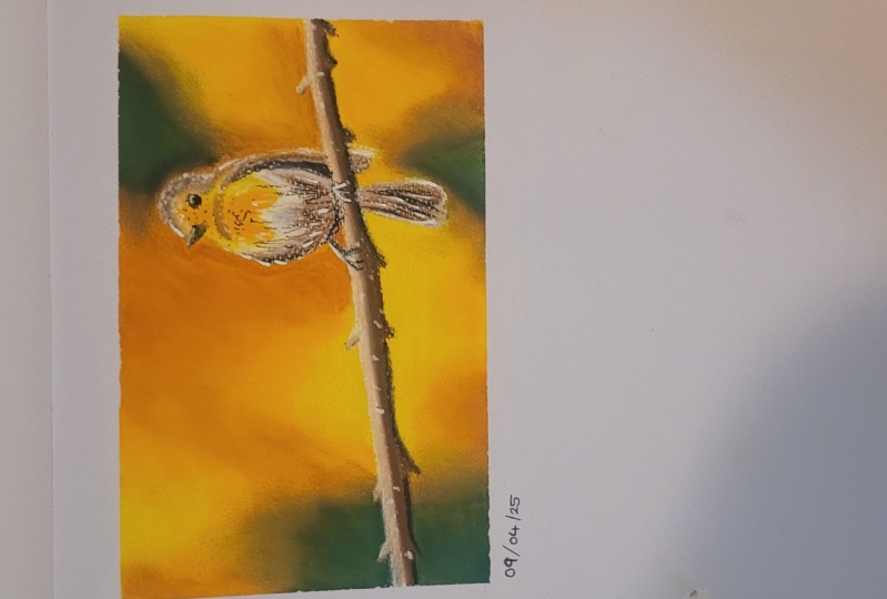 'Lil Birdy