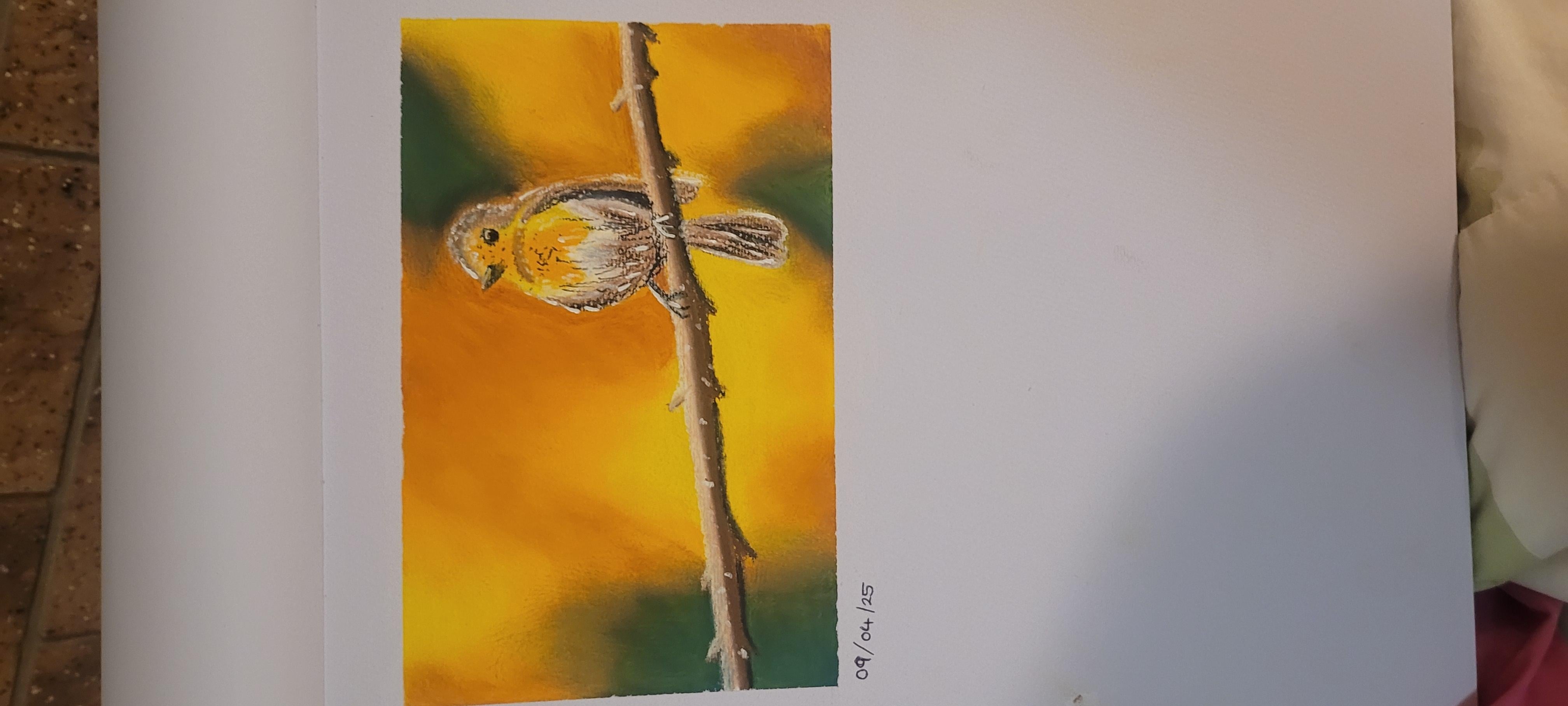 'Lil Birdy - student project