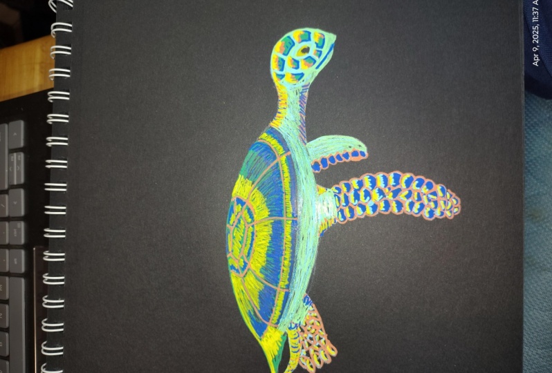 Sea Turtle