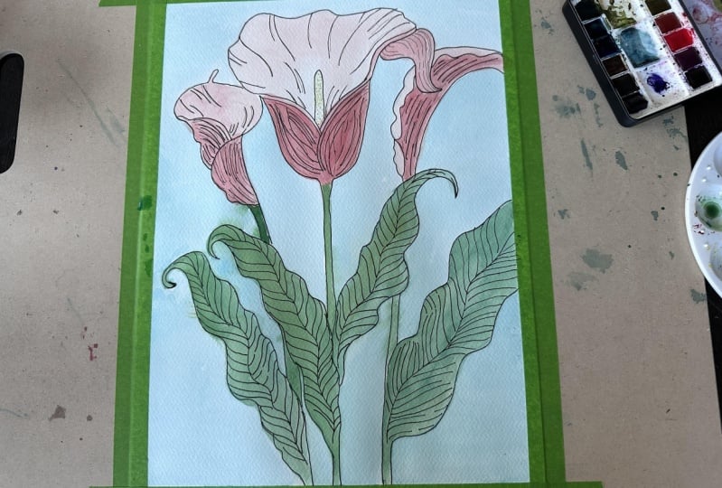 Calla Lillies