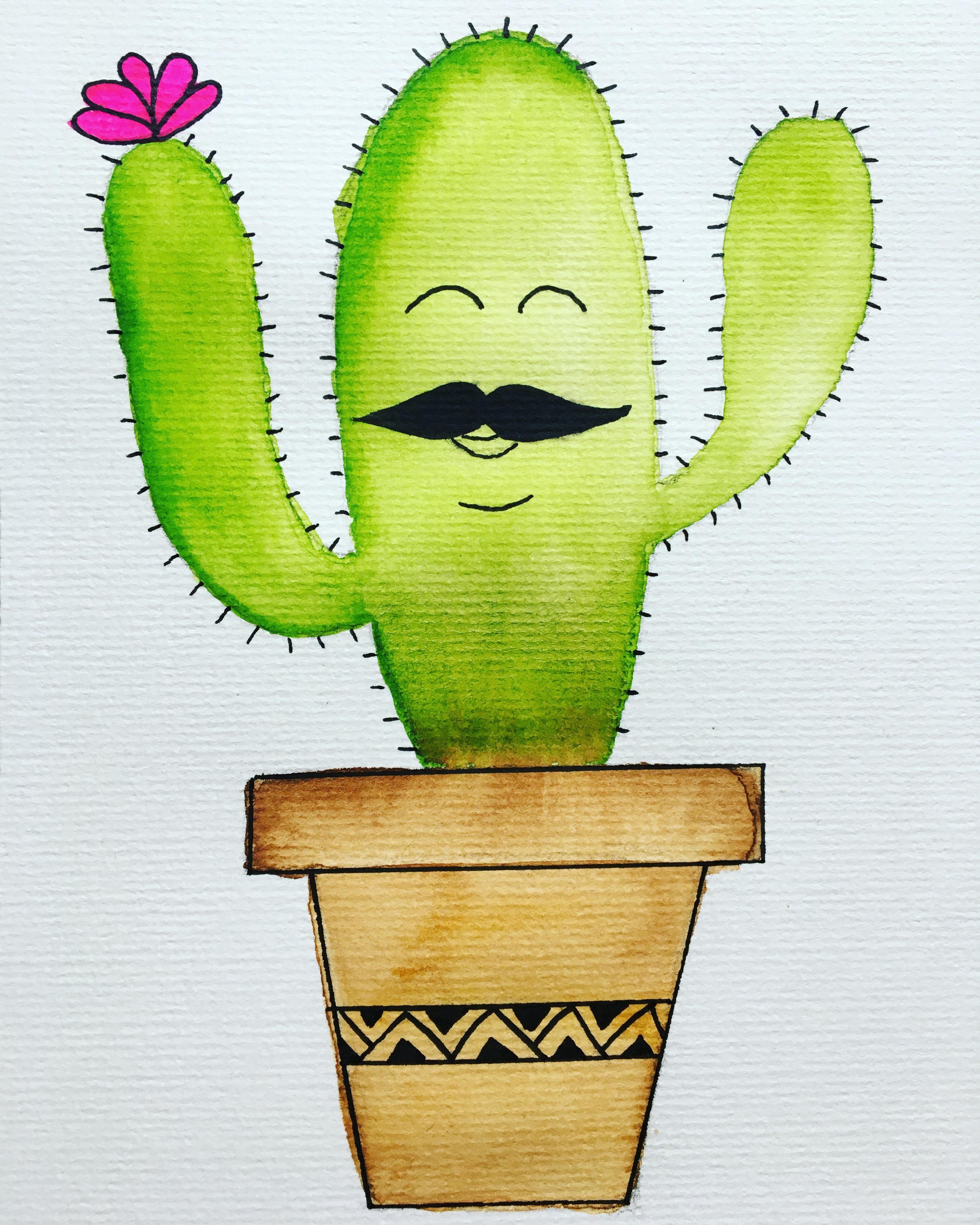 wo kann man kaktus kaufen Cactus Opuntia | 120cm | Online kaufen
