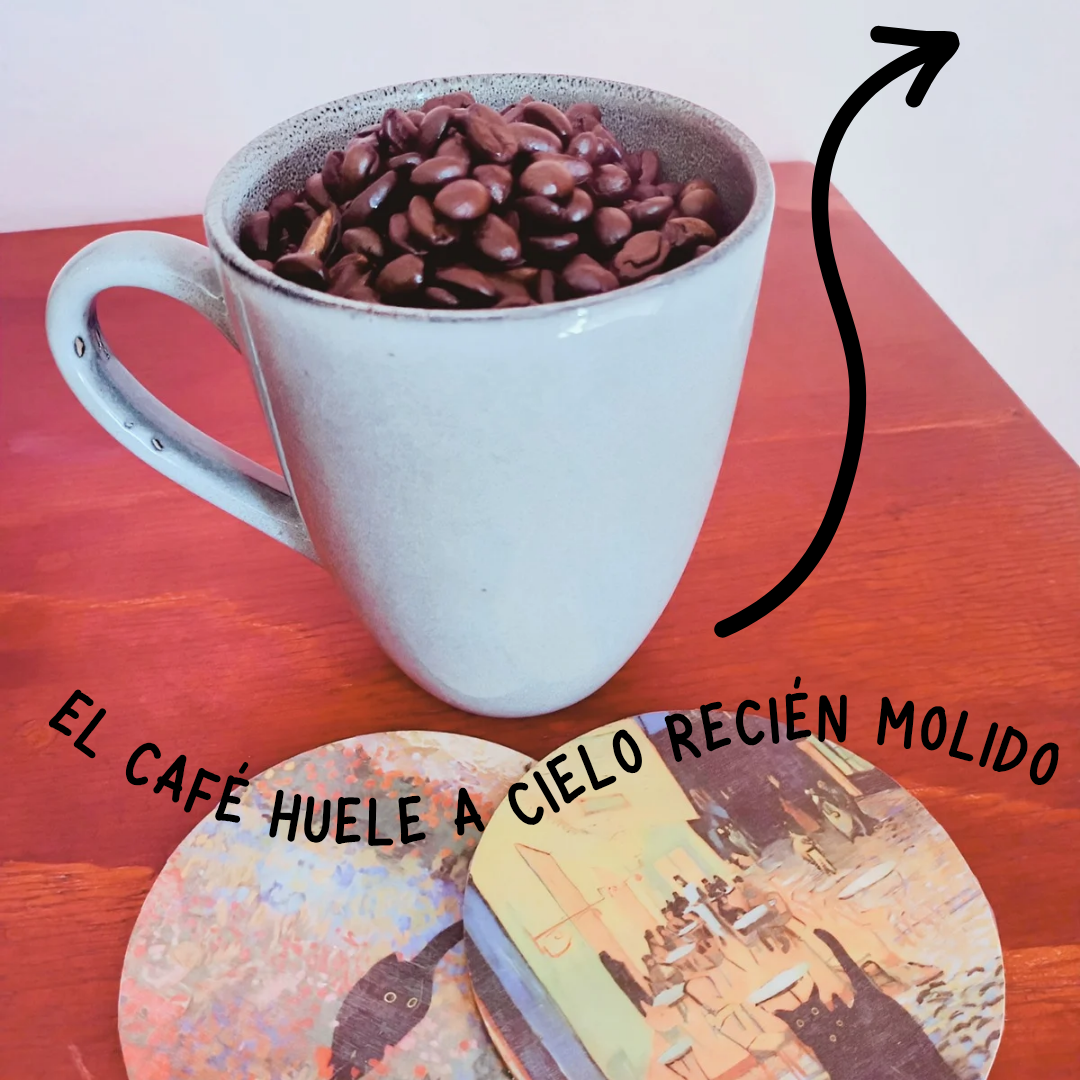 Café - student project