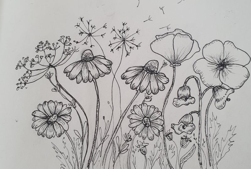 Wild flowers w ink pen :)))