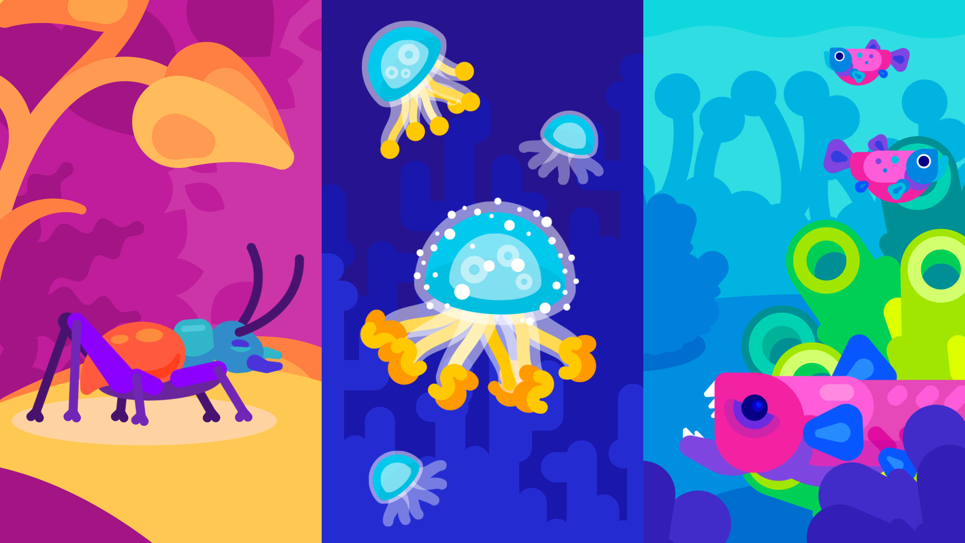 more-projects-from-class-img
