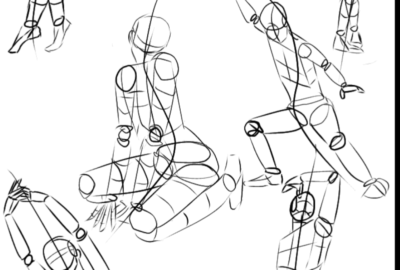 Anatomy Structure Study